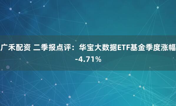 广禾配资 二季报点评：华宝大数据ETF基金季度涨幅-4.71%