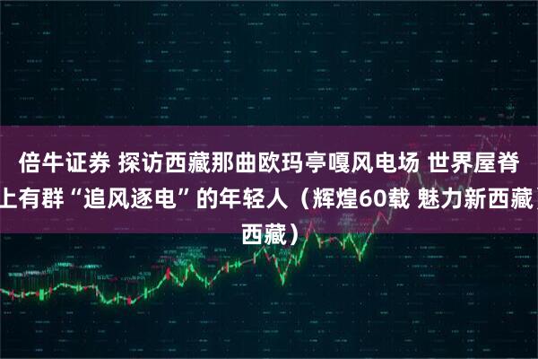 倍牛证券 探访西藏那曲欧玛亭嘎风电场 世界屋脊上有群“追风逐电”的年轻人（辉煌60载 魅力新西藏）