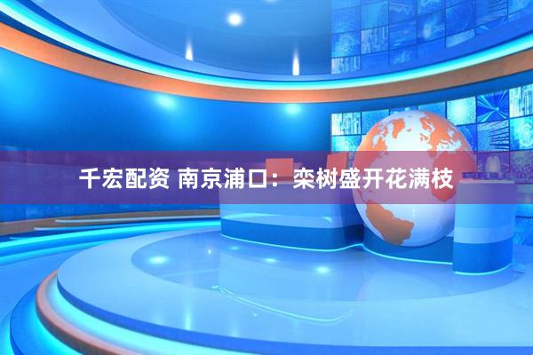 千宏配资 南京浦口：栾树盛开花满枝
